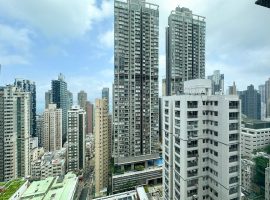 50 Third Street