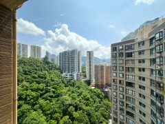 Ronsdale Garden