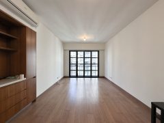 The Aster (Resiglow HV)